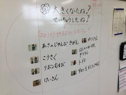 大きくなったね