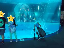 水そうをながめる子ども達