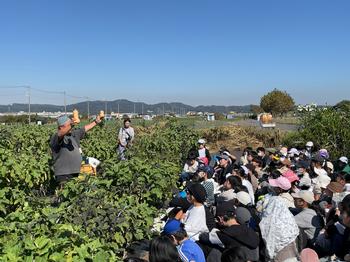 野菜の説明をしてくれる様子