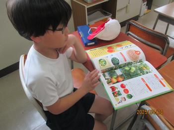 本で野菜を調べる様子