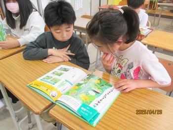 本で野菜を調べる様子