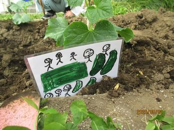 手づくりの野菜看板