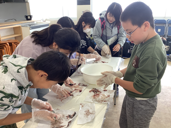 魚捌き体験の様子