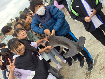 漁業体験で魚を触っている様子