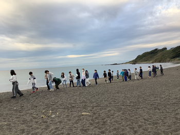 浜辺を散策する様子