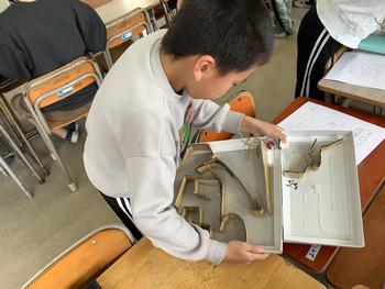 ダンボール迷路で遊ぶ児童