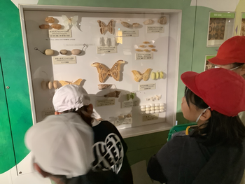 シルク博物館での様子です！協力してクイズに取り組んでいました！