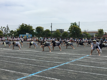 運動会 ソーラン