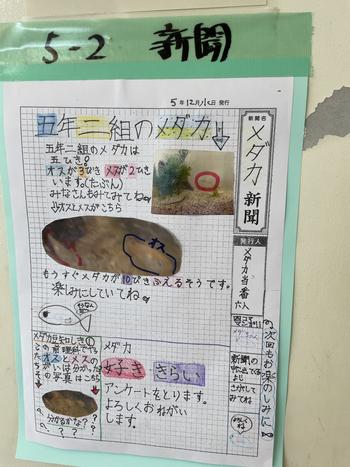 ５年生 理科 善部小学校