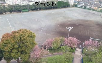 グランド