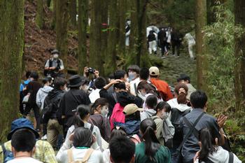 箱根　ハイキング