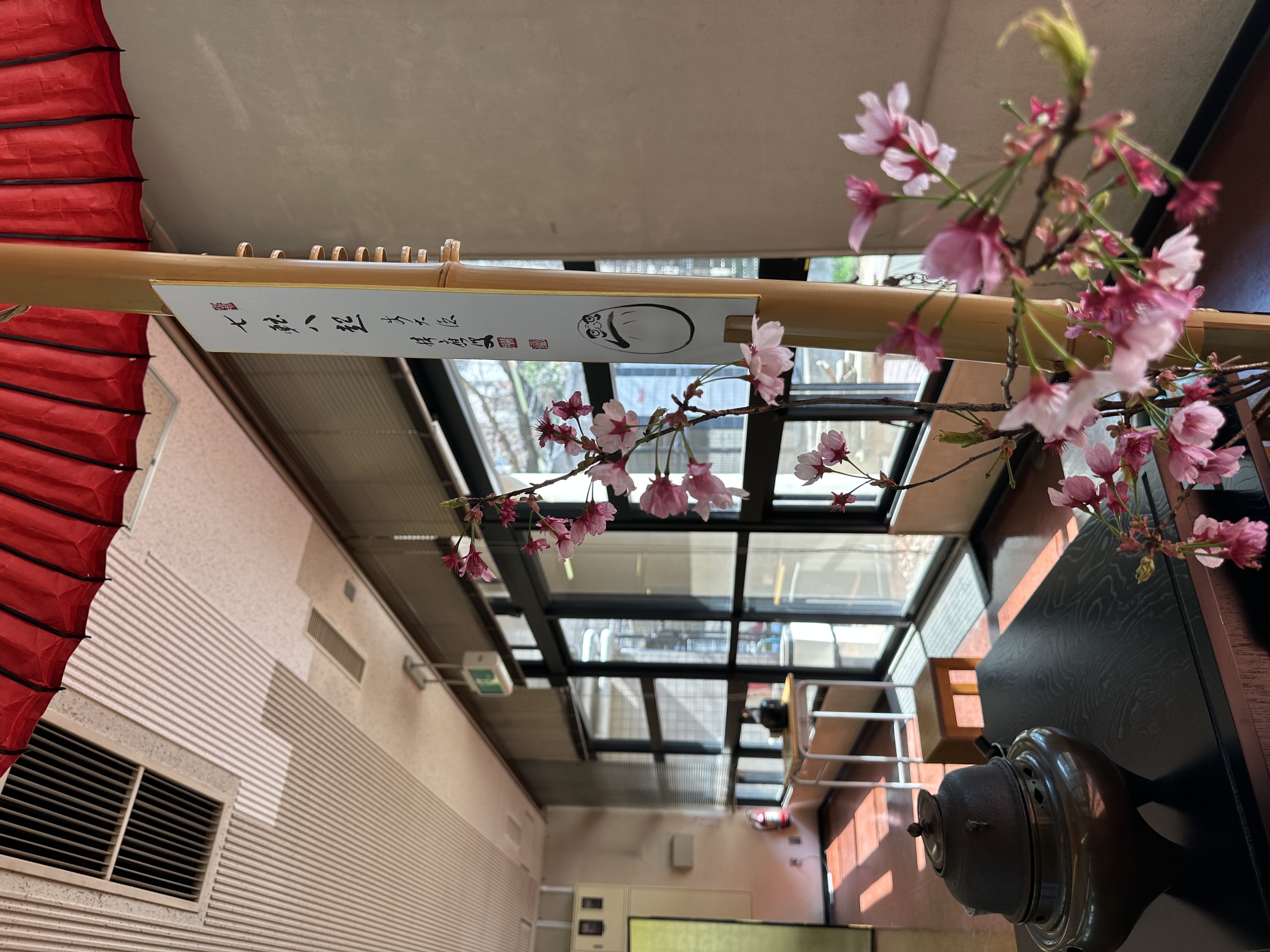 桜の茶会３