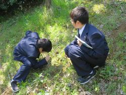 植物観察