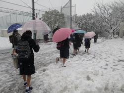 大雪