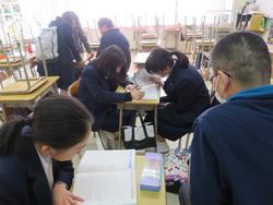 学習相談