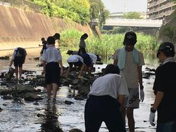 阿久和川清掃