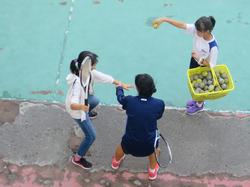小中交流日