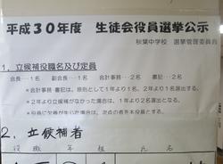 選挙活動
