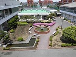 中庭