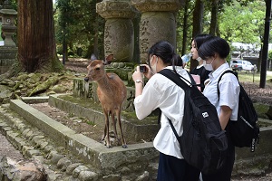 修学旅行