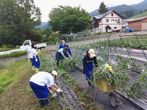 自然教室
