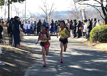 画像を表示できません