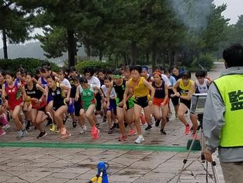 画像を表示できません
