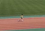 画像が表示されません