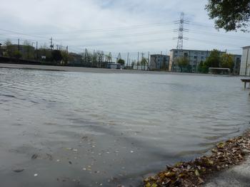 遊水地