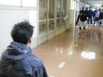 野球