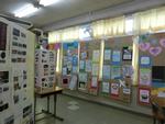 展示