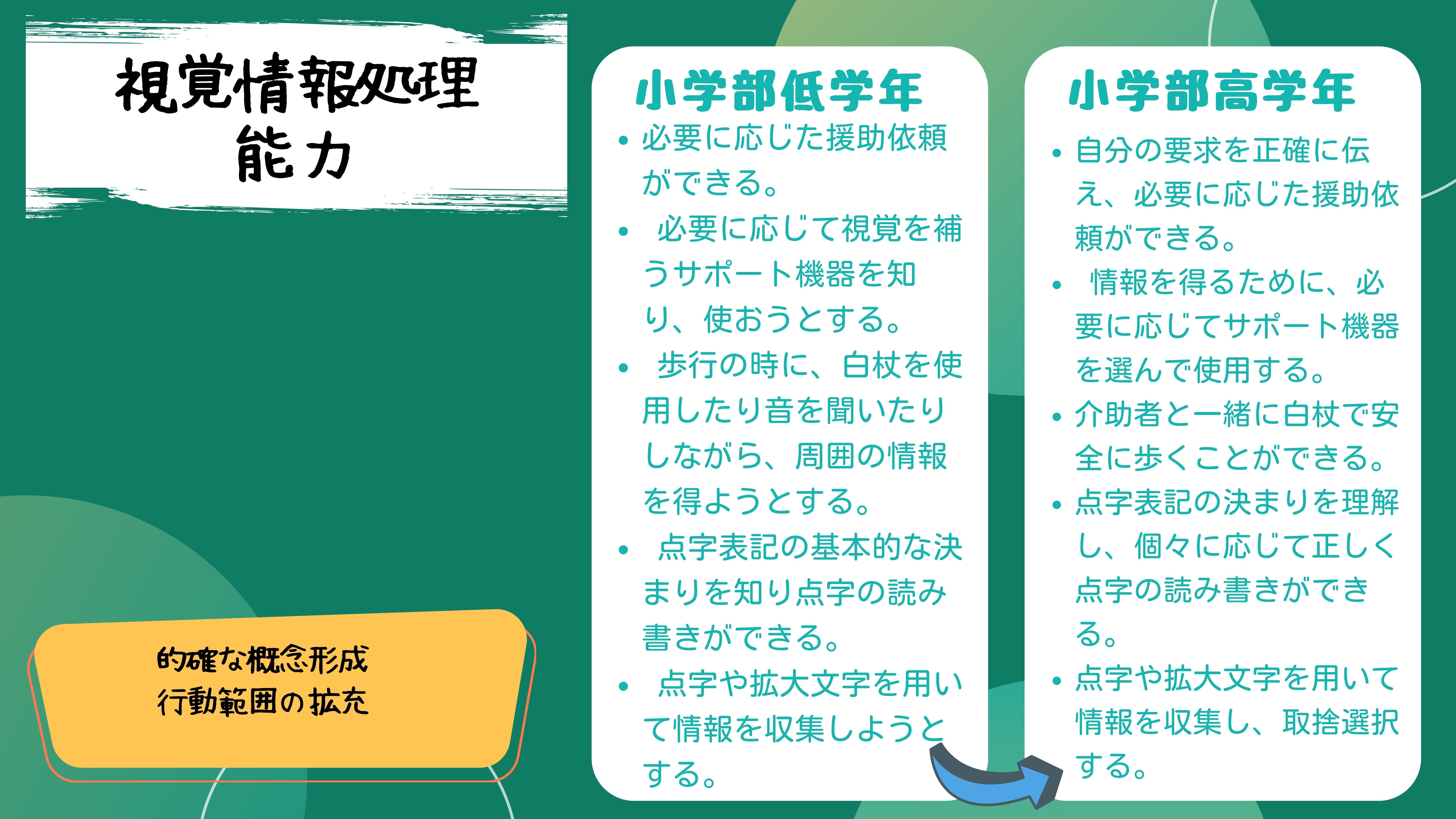 情報処理能力：　小学部低学年　・必要に応じた援助依頼ができる。・必要に応じて視覚を補うサポート機器を知り、使おうとする。・歩行の時に、白杖を使用したり音を聞いたりしながら、周囲の情報を得ようとする。・点字表記の基本的な決まりを知り点字の読み書きができる。・点字や拡大文字を用いて情報を収集しようとする。　小学部高学年　・自分の要求を正確に伝え、必要に応じた援助依頼ができる。・情報を得るために、必要に応じてサポート機器を選んで使用する。・介助者と一緒に白杖で安全に歩くことができる。・点字表記の決まりを理解し、個々に応じて正しく点字の読み書きができる。・点字や拡大文字を用いて情報を収集し、取捨選択する。的確な概念形成、行動範囲の拡充