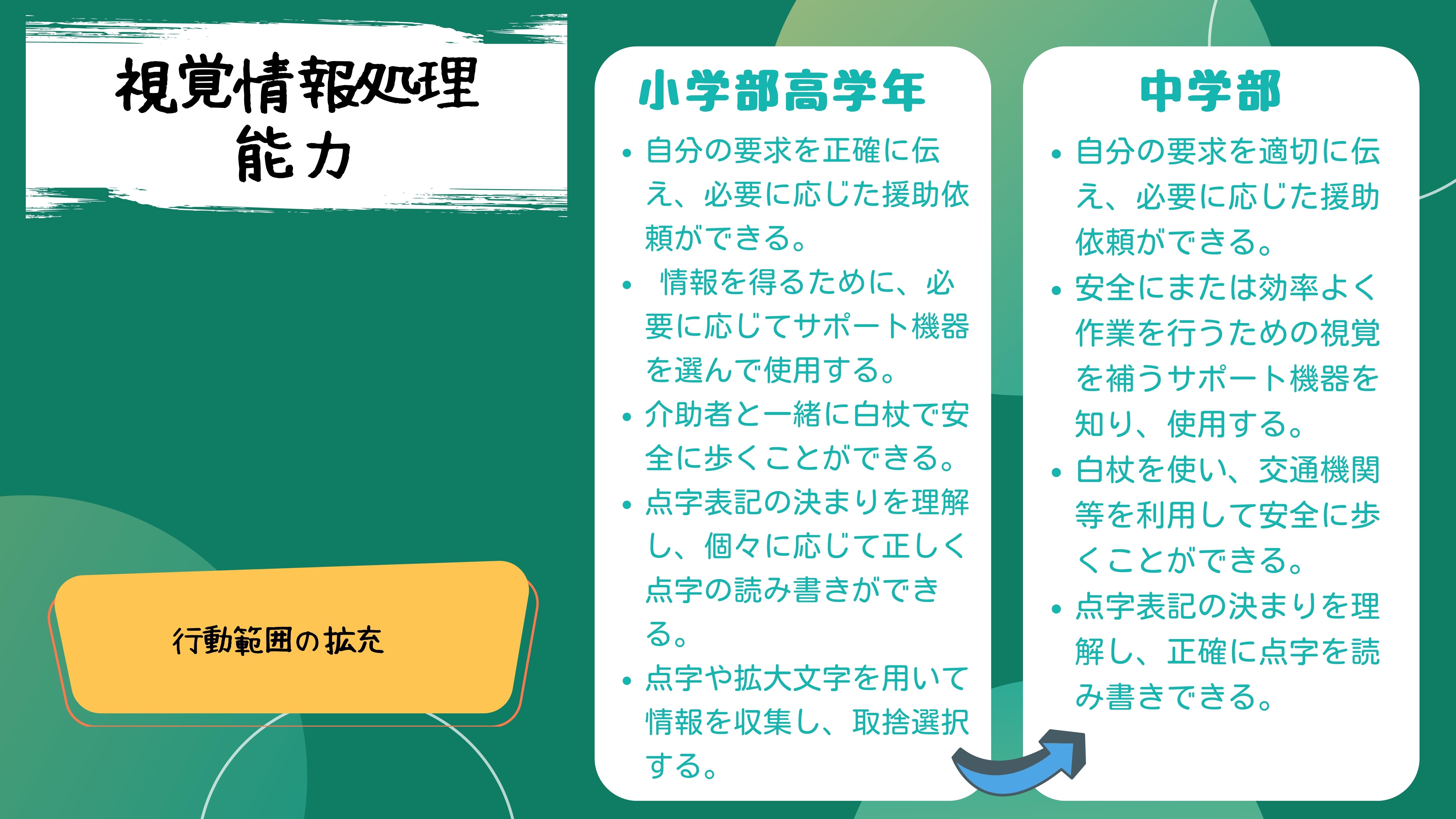 視覚情報処理能力：小学部高学年　・自分の要求を正確に伝え、必要に応じた援助依頼ができる。・情報を得るために、必要に応じてサポート機器を選んで使用する。・介助者と一緒に白杖で安全に歩くことができる。・点字表記の決まりを理解し、個々に応じて正しく点字の読み書きができる。・点字や拡大文字を用いて情報を収集し、取捨選択する。　中学部　・自分の要求を適切に伝え、必要に応じた援助依頼ができる。・安全にまたは効率よく作業を行うための視覚を補うサポート機器を知り、使用する。・白杖を使い、交通機関等を利用して安全に歩くことができる。・点字表記の決まりを理解し、正確に点字を読み書きできる。　行動範囲の拡充