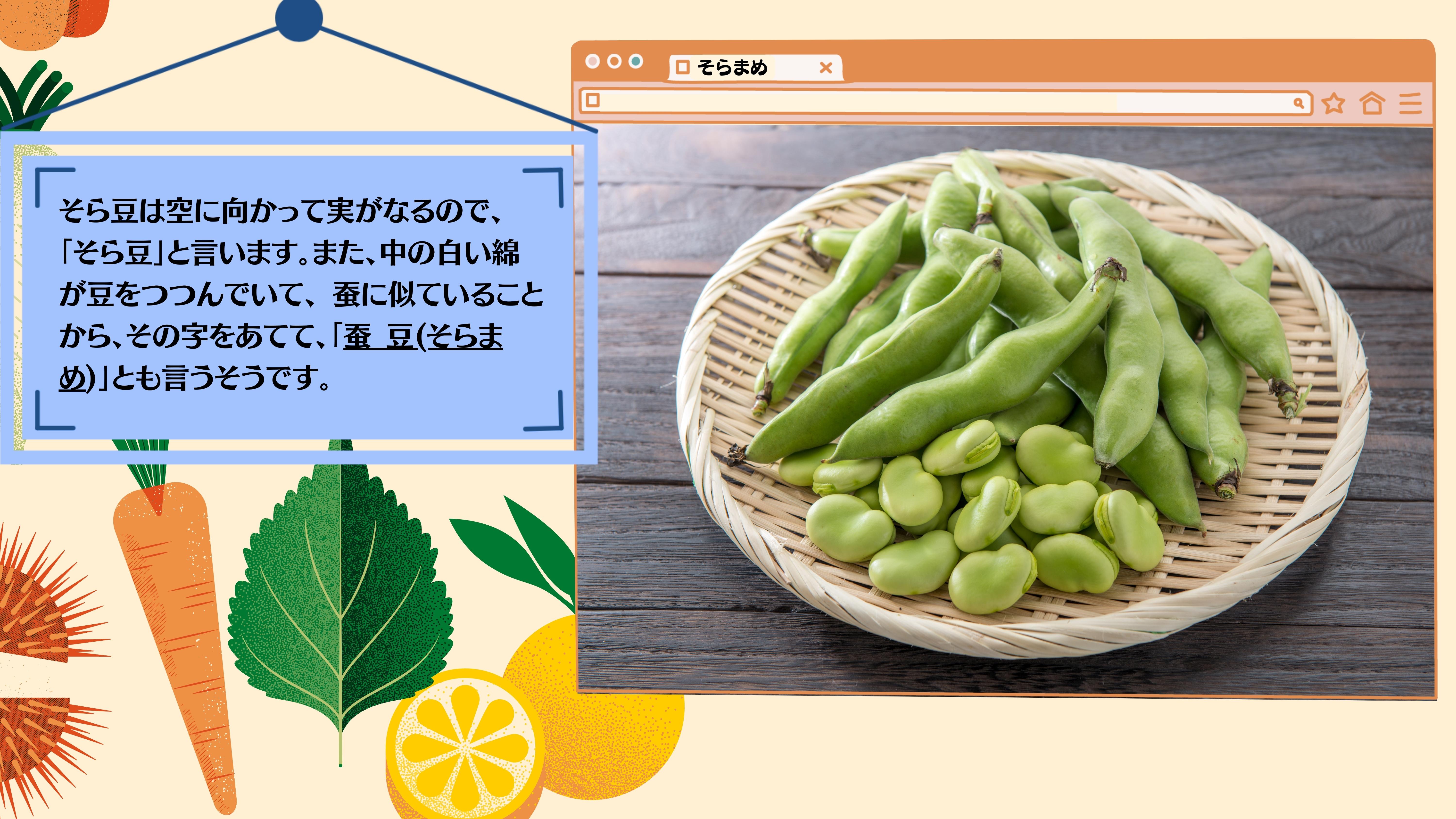 そら豆は空に向かって実がなるので、 「そら豆」と言います。また、中の白い綿が豆をつつんでいて、 蚕に似ていることから、その字をあてて、「蚕 豆(そらまめ)」とも言うそうです。