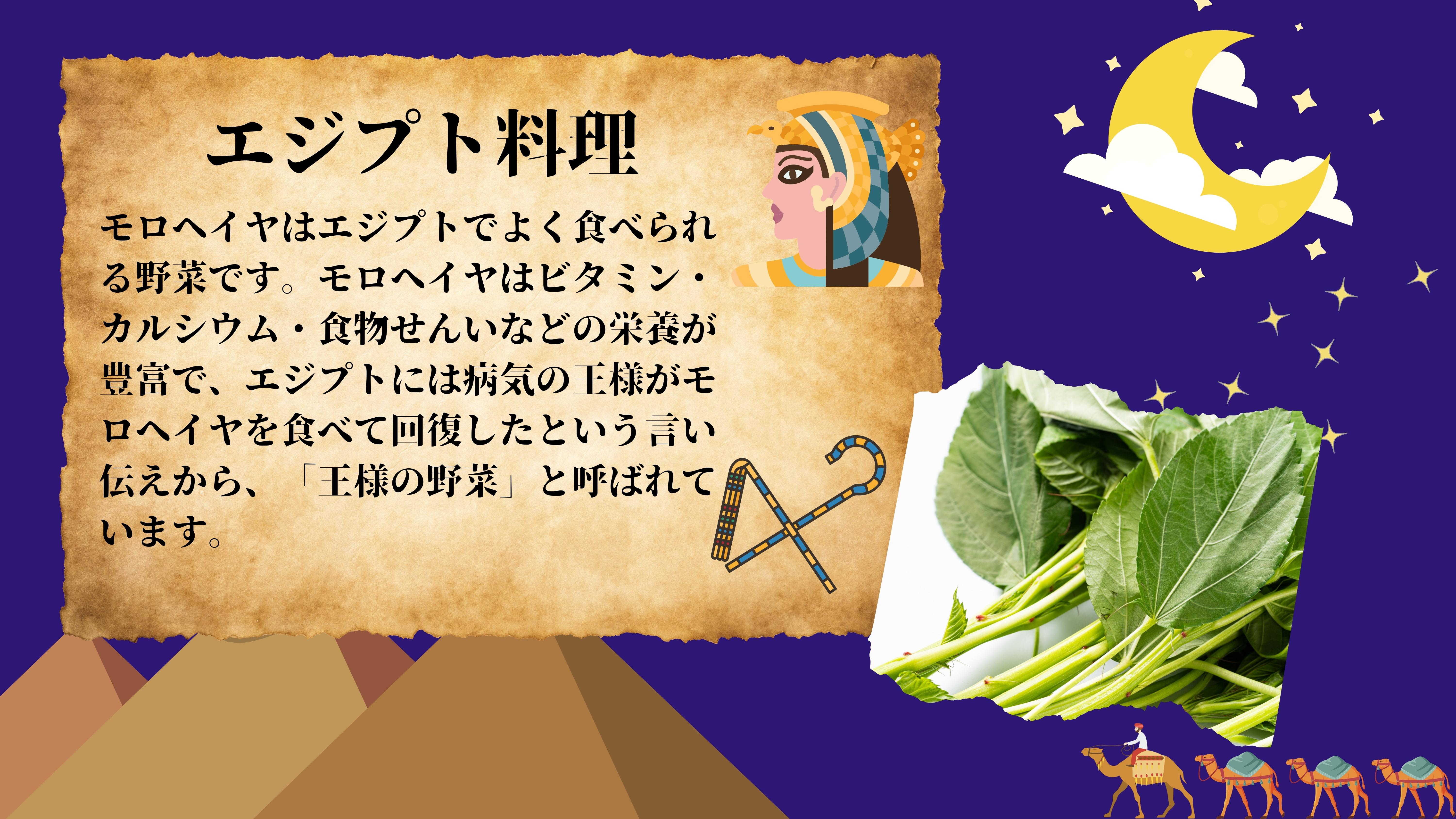 エジプト料理：モロヘイヤはエジプトでよく食べられる野菜です。モロヘイヤはビタミン・カルシウム・食物せんいなどの栄養が豊富で、エジプトには病気の王様がモロヘイヤを食べて回復したという言い伝えから、「王様の野菜」と呼ばれています。