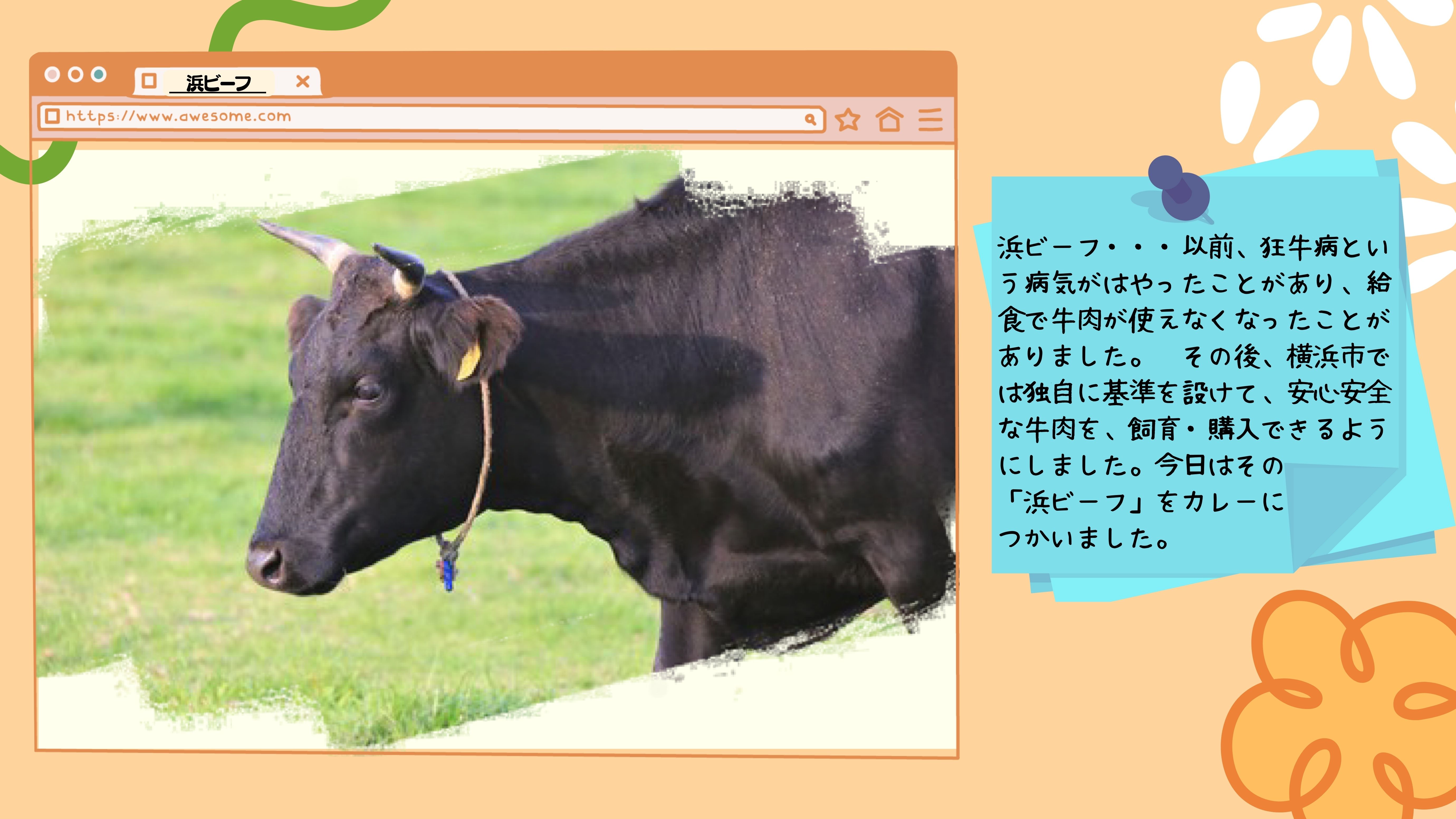 浜ビーフ：以前、狂牛病という病気がはやったことがあり、給食で牛肉が使えなくなったことがありました。　その後、横浜市では独自に基準を設けて、安心安全な牛肉を、飼育・購入できるようにしました。今日はその 「浜ビーフ」をカレーに つかいました。