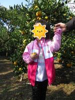 取ったみかんをもって木の前に立っています。