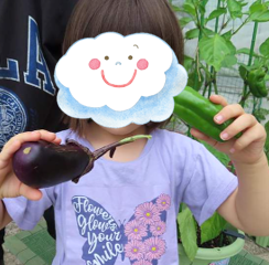 収穫したピーマンとなすを手に取り、よく観察しています。